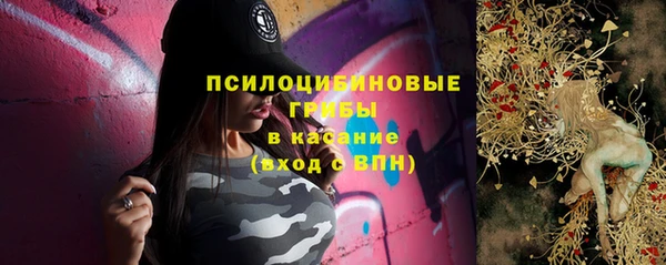 мдпв Богородск