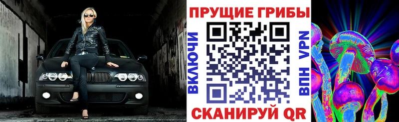 Галлюциногенные грибы ЛСД Завитинск