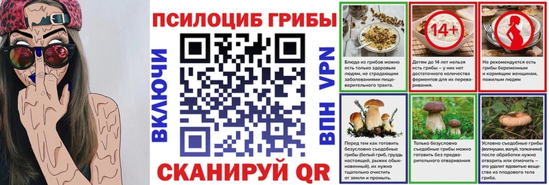 Псилоцибиновые грибы Psilocybine cubensis  Завитинск 