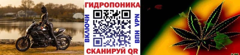 Бошки марихуана план  Завитинск 